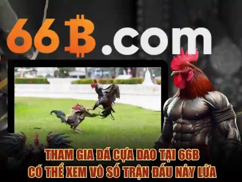 Sản phẩm và dịch vụ cốt lõi liên quan đến ganghoferstraße 66b 80339 münchen