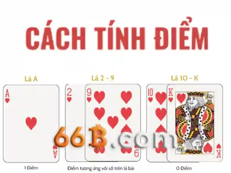 Trải nghiệm người dùng và phản hồi cộng đồng