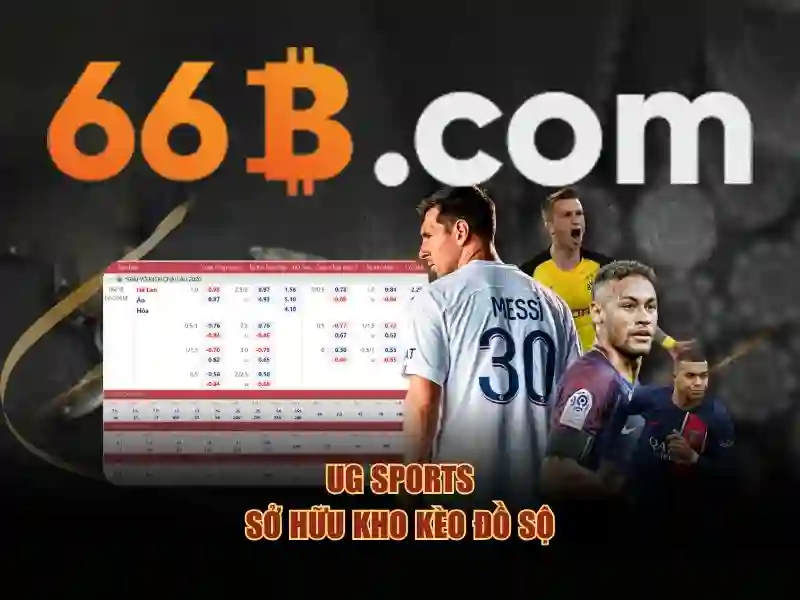Khái niệm về 66B\n