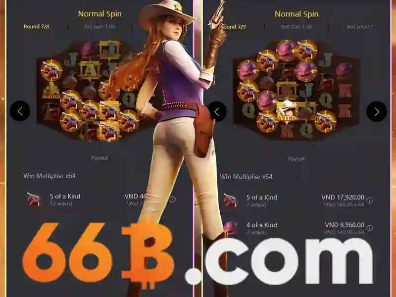 Tổng quan về 66B