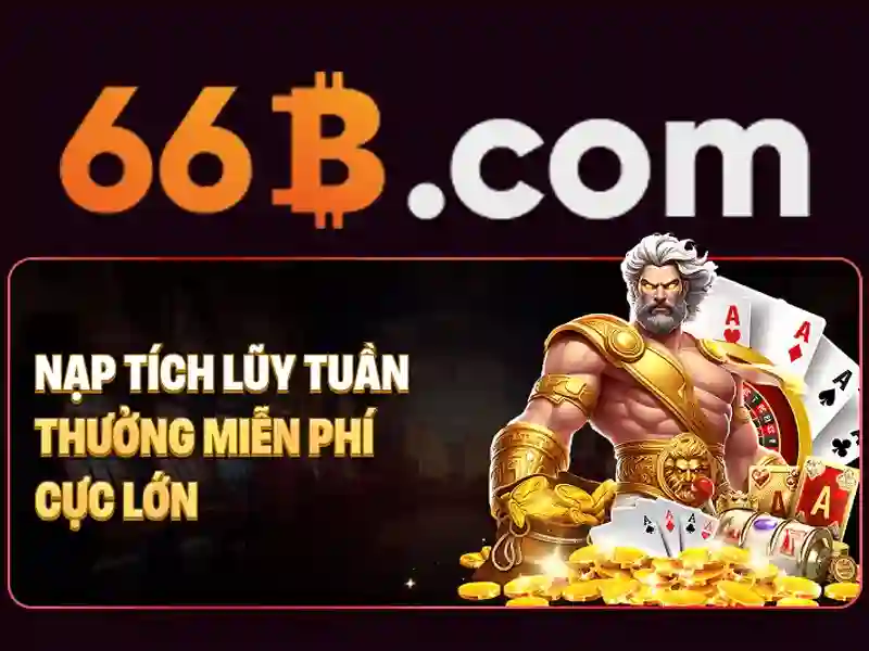 Đặc điểm chính của 66B