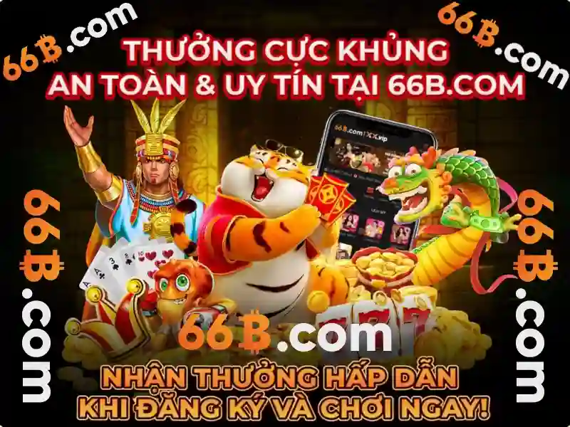 Trải nghiệm người dùng và phản hồi cộng đồng