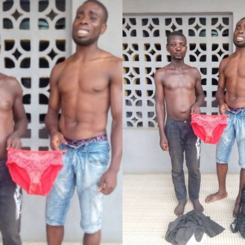 Police Forces Men Who Stole Panties To Strike A Pose With Them