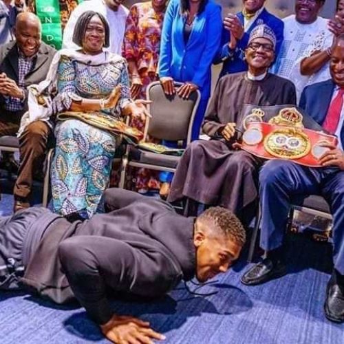 Here’s What Fani Kayode Has To Say About Anthony Joshua Prostrating Before Buhari