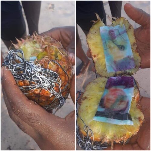 Spiritual? Photo Of A Man And A Woman Found Inside A Pineapple That Washed Up On The Beach