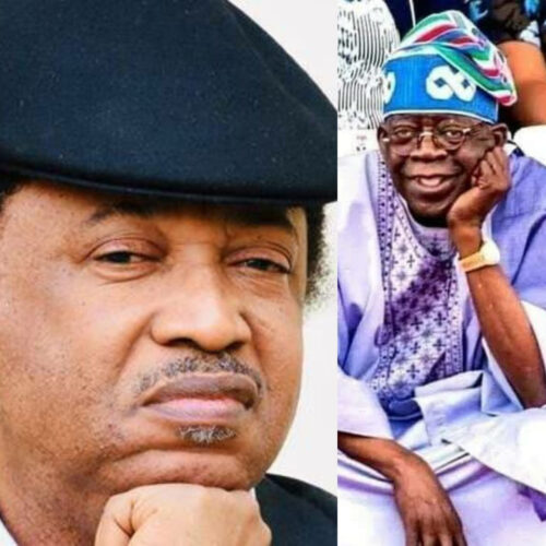APC Is Unfair To Asiwaju, He Played A Big Role In Buhari’s Election As President – Senator Shehu Sani
